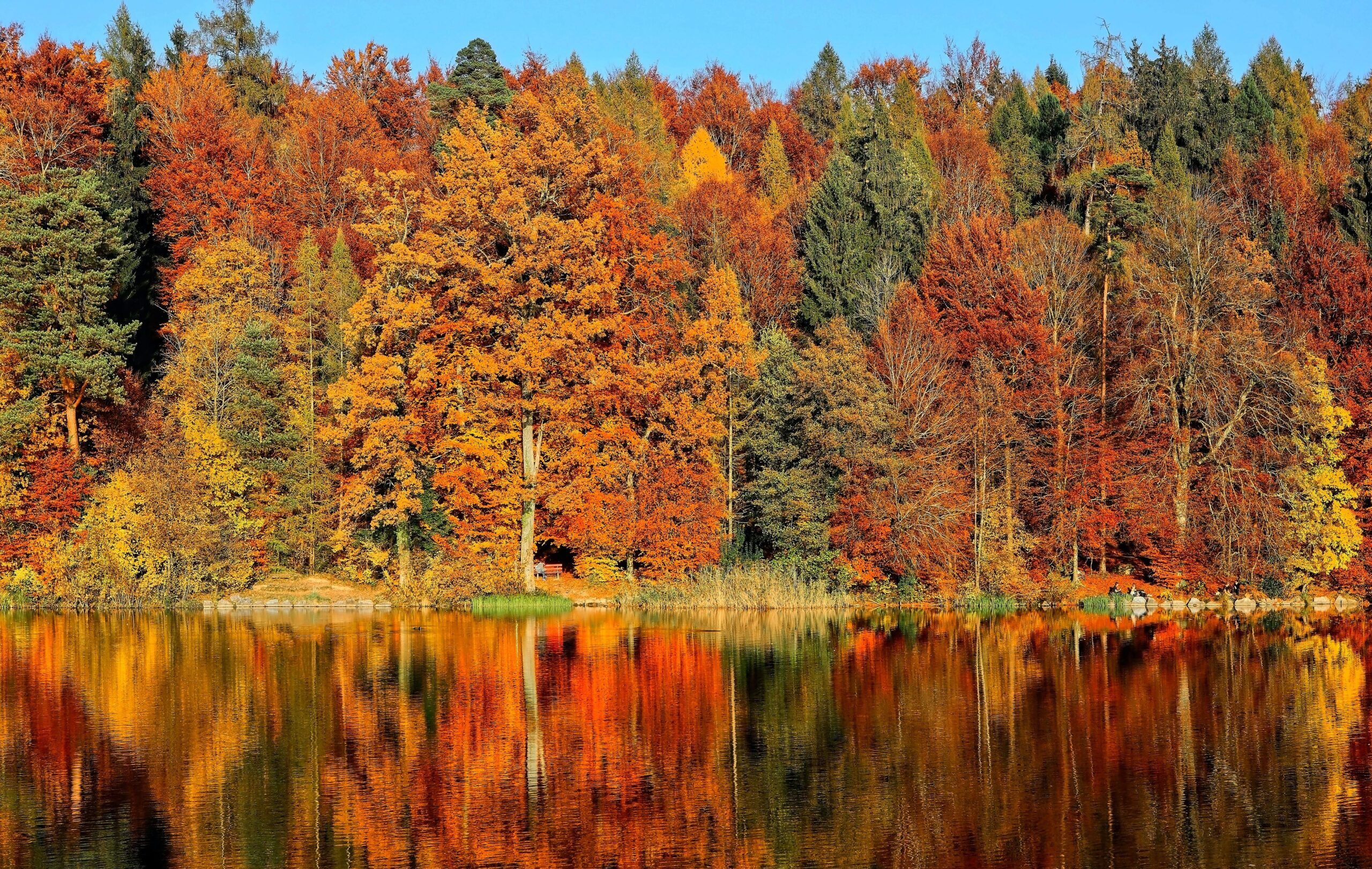 You are currently viewing New England Fall Road Trip Stops